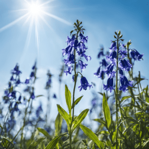 Blue Blossoms